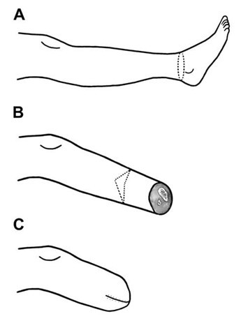 Picture1.jpg