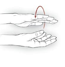 12.png