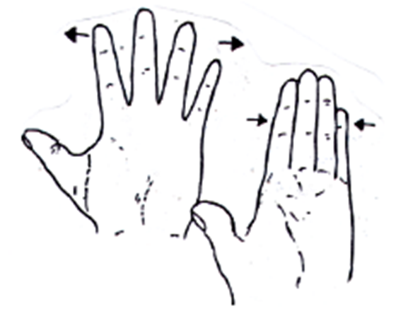 This image shows how to complete the exercise.