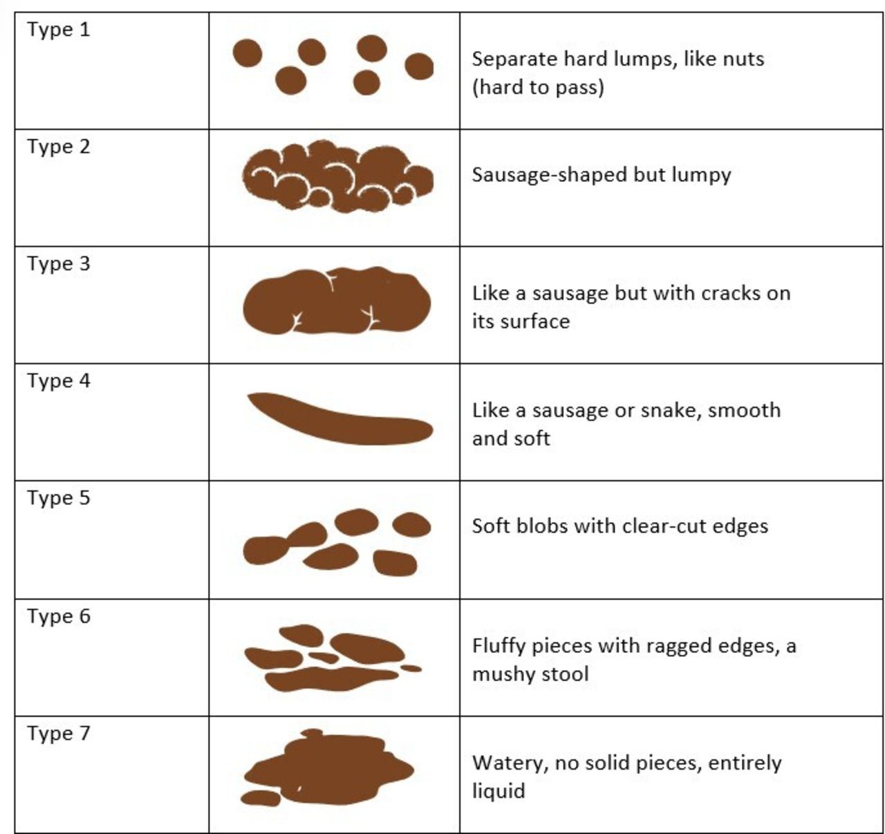 Bristol Stool Chart.jpg