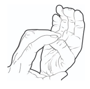Thumb flexion.png