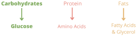 carb arrow.png