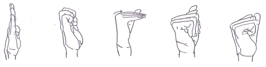 wrist tendon repair exercises.png
