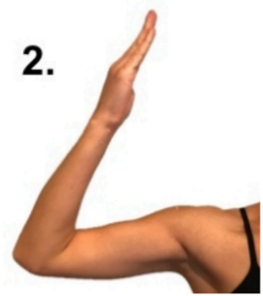 ulnar nerve 2.png