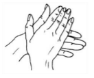 palm to palm.png