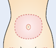 Tummy.png