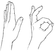 9.png