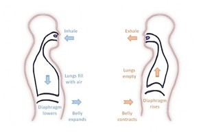 breathing technique.jpg