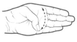 active thumb flexion.png