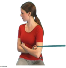 torso rotation.png