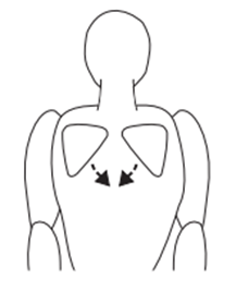 SBS.png