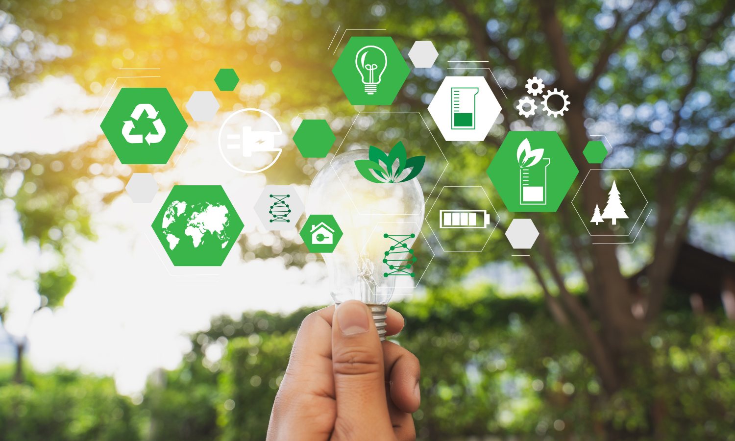 A hand holding a lightbulg surrounded by icons representing ideas to increase sustainability