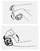 exercise wrist progression .png