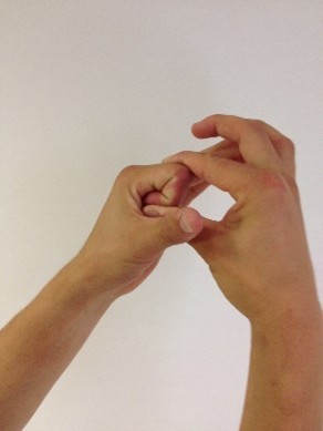 full fist.jpg