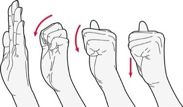 Exercise 1.jpg