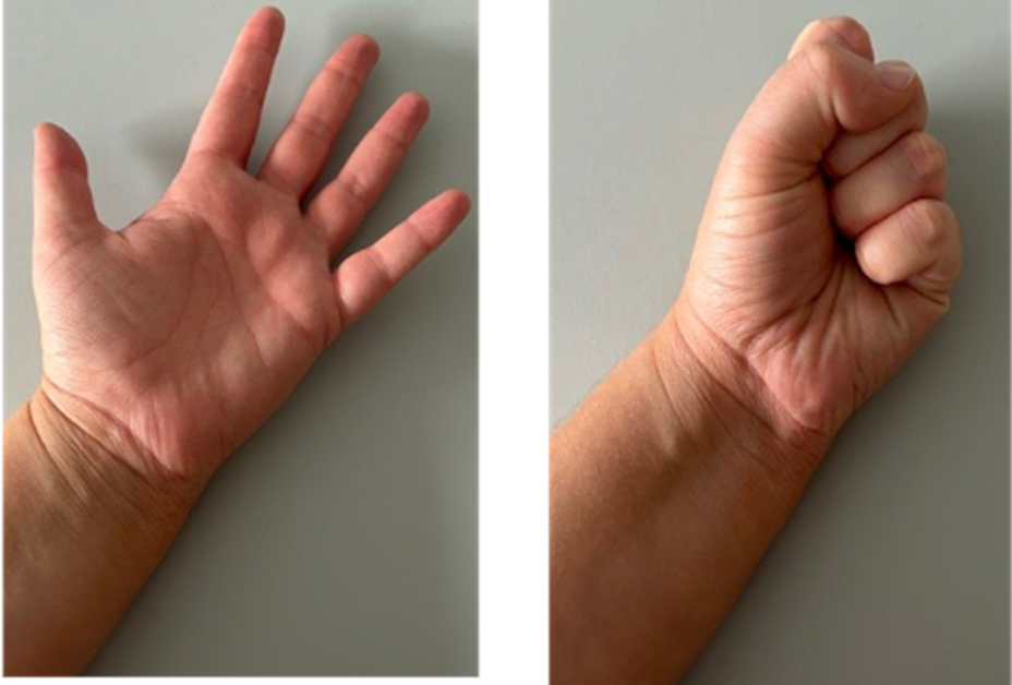 Full fist.png