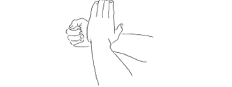 supination.png