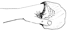 flexing the fingers 2.png