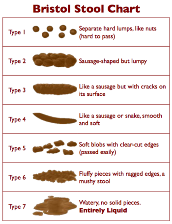 Image which shows the Bristol Stool chart from Type 1 to Type 7.