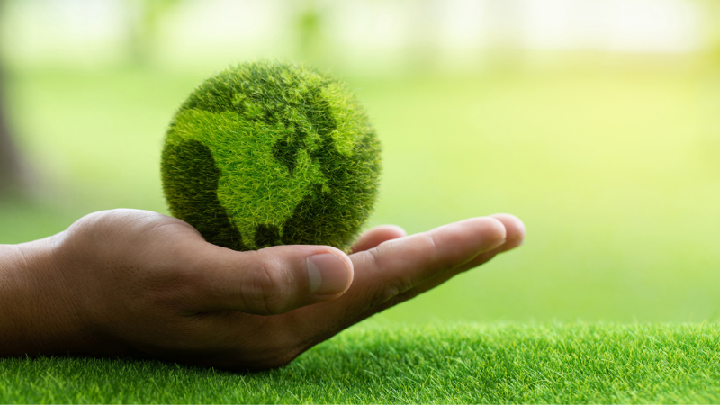 A hand holding a green world, representing environmental sustainability