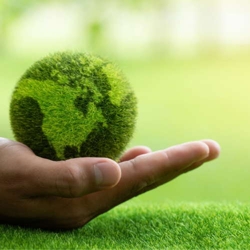 Trust launches updated Green Plan :: Frimley Health NHS Foundation Trust